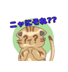 ねこことば〈日常会話編〉（個別スタンプ：30）