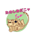 ねこことば〈日常会話編〉（個別スタンプ：40）