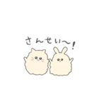 うるうるうさねこ（個別スタンプ：15）