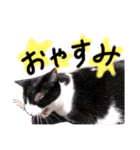 なおですっ（個別スタンプ：4）