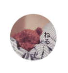 ぱよぴーる（個別スタンプ：4）