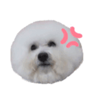 ぼんばちゃん（個別スタンプ：3）