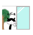 野良猫くろまめ物語1（個別スタンプ：1）
