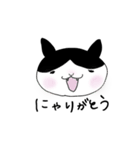 野良猫くろまめ物語1（個別スタンプ：2）