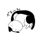 野良猫くろまめ物語1（個別スタンプ：6）