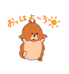 うさぎ ファミリー ammky（個別スタンプ：1）
