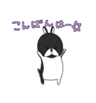 うさぎ ファミリー ammky（個別スタンプ：3）
