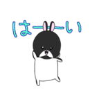 うさぎ ファミリー ammky（個別スタンプ：13）