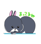 うさぎ ファミリー ammky（個別スタンプ：30）