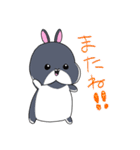 うさぎ ファミリー ammky（個別スタンプ：36）