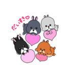 うさぎ ファミリー ammky（個別スタンプ：40）