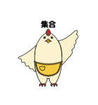 ニワトリーナ（個別スタンプ：10）