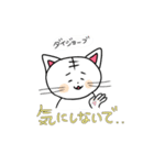 猫の白玉スタンプ（個別スタンプ：16）