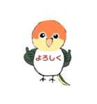 インコ×文鳥毎日スタンプ（個別スタンプ：1）