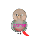 インコ×文鳥毎日スタンプ（個別スタンプ：3）