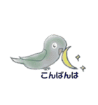 インコ×文鳥毎日スタンプ（個別スタンプ：4）