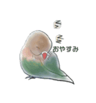 インコ×文鳥毎日スタンプ（個別スタンプ：5）
