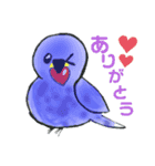 インコ×文鳥毎日スタンプ（個別スタンプ：9）