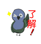 インコ×文鳥毎日スタンプ（個別スタンプ：14）
