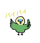 インコ×文鳥毎日スタンプ（個別スタンプ：15）