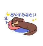 日常使い♡わんちゃん大集合！（個別スタンプ：11）