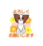 日常使い♡わんちゃん大集合！（個別スタンプ：15）