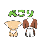 日常使い♡わんちゃん大集合！（個別スタンプ：16）