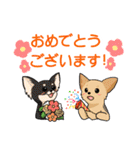 日常使い♡わんちゃん大集合！（個別スタンプ：20）