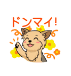 日常使い♡わんちゃん大集合！（個別スタンプ：23）