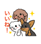 日常使い♡わんちゃん大集合！（個別スタンプ：24）