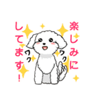 日常使い♡わんちゃん大集合！（個別スタンプ：27）