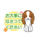 日常使い♡わんちゃん大集合！（個別スタンプ：31）