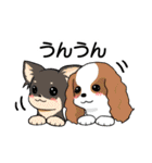 日常使い♡わんちゃん大集合！（個別スタンプ：32）