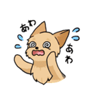 日常使い♡わんちゃん大集合！（個別スタンプ：39）