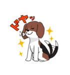 日常使い♡わんちゃん大集合！（個別スタンプ：40）