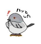 とりおっち2 第2巻（個別スタンプ：4）