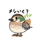とりおっち2 第2巻（個別スタンプ：11）