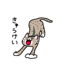 しーとひま（個別スタンプ：11）