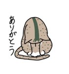 しーとひま（個別スタンプ：25）