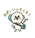 ヨギ犬 ソルト（個別スタンプ：2）