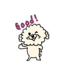 ヨギ犬 ソルト（個別スタンプ：13）