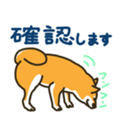 柴犬むぎの毎日スタンプ（個別スタンプ：4）