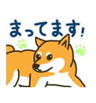 柴犬むぎの毎日スタンプ（個別スタンプ：7）