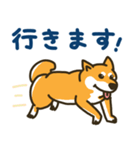 柴犬むぎの毎日スタンプ（個別スタンプ：8）