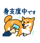 柴犬むぎの毎日スタンプ（個別スタンプ：10）