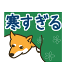 柴犬むぎの毎日スタンプ（個別スタンプ：21）