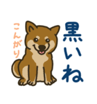 柴犬むぎの毎日スタンプ（個別スタンプ：39）