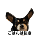まめすけの日常（個別スタンプ：3）