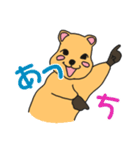 いつものクアッカ（個別スタンプ：12）