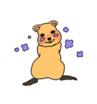 いつものクアッカ（個別スタンプ：14）